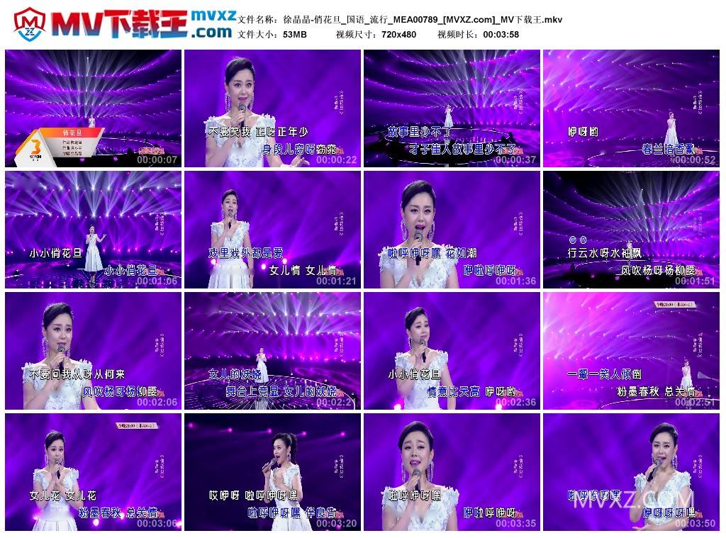 徐晶晶-俏花旦_国语_流行_MEA00789